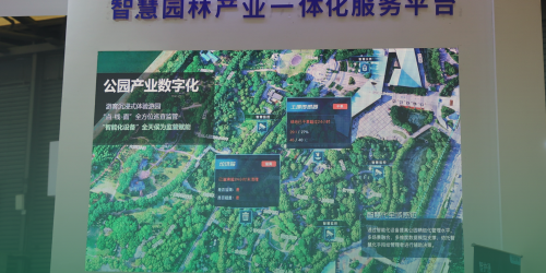 网站6